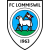Lommiswil